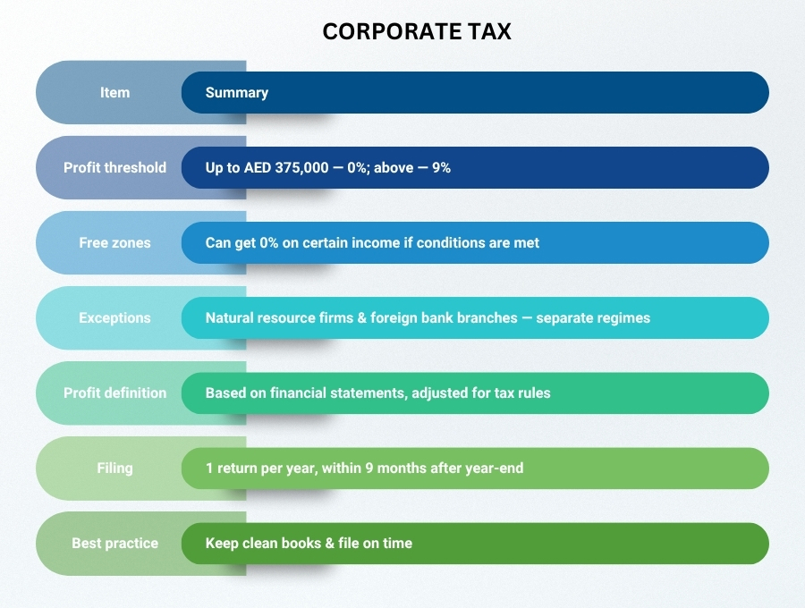 uae tax system overview