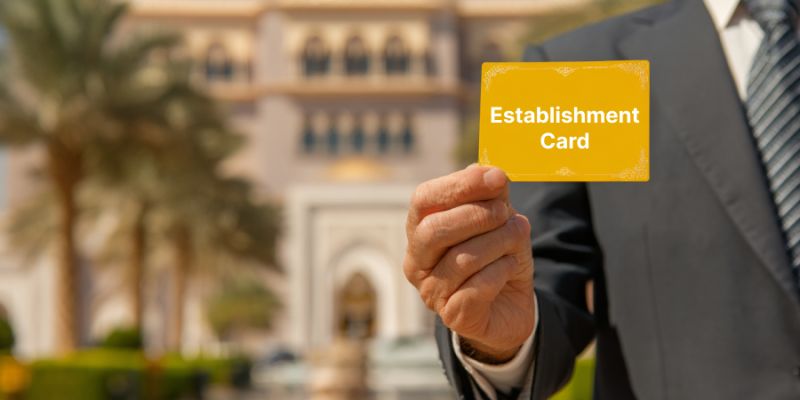 What Is an Establishment Card in the UAE: Complete Guide to Its Use, Renewal, and Online Management